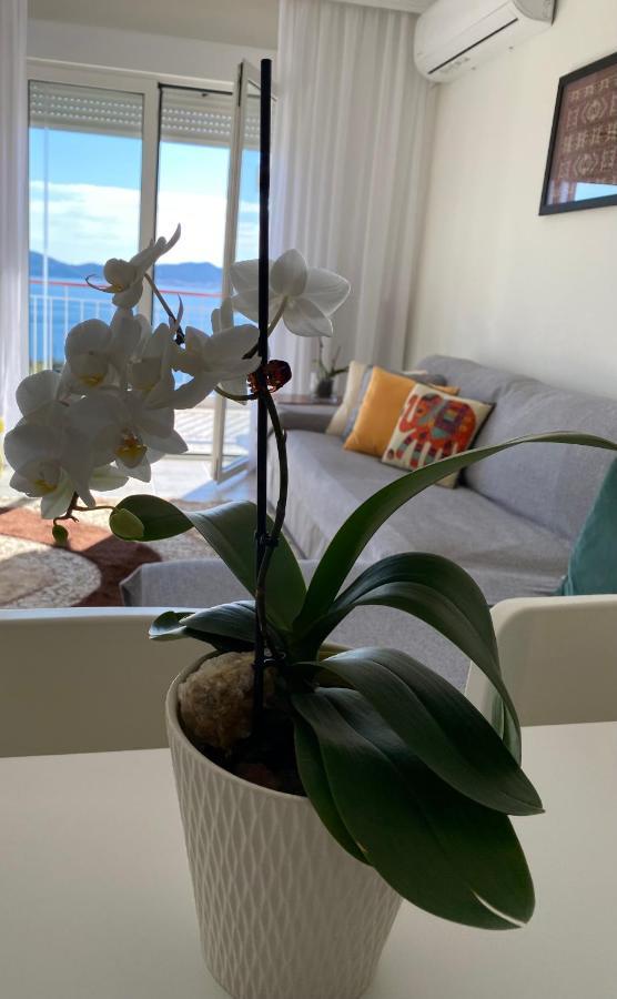 Mimoza'S Sea View Apartment PalaiónTsiflíkion 외부 사진